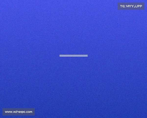 西甲球衣销售趋势分析及其对品牌影响力的深度解读