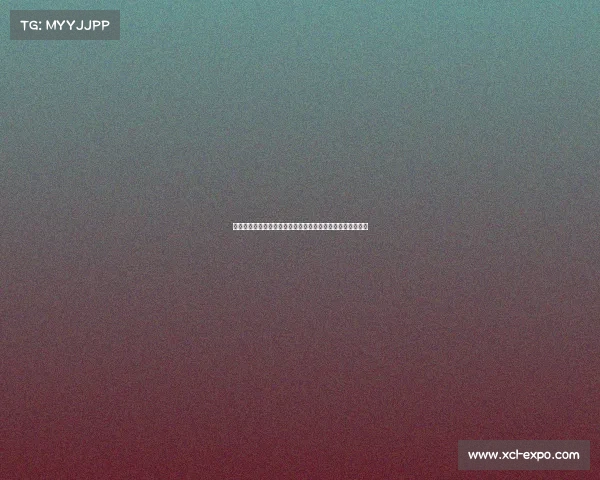 网球赛场激烈角逐精彩纷呈,赛事背后的拼搏与梦想全面解析