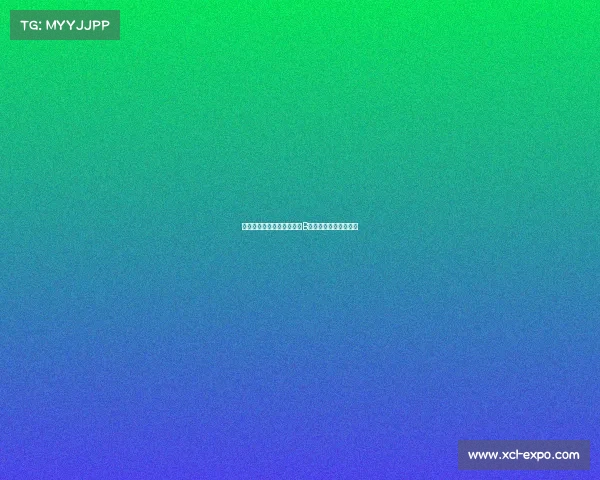 阿莫林谈霍伊伦表现并分析B费过度帮助队友的情况