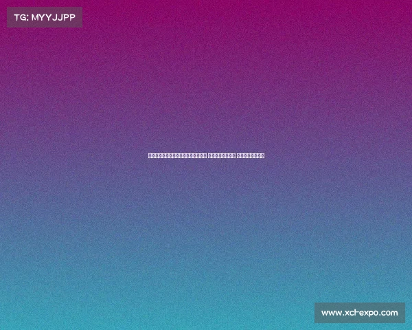 英超最新动态：曼联战术调整深度分析 曼城连胜纪录延续 红军伤病情况更新