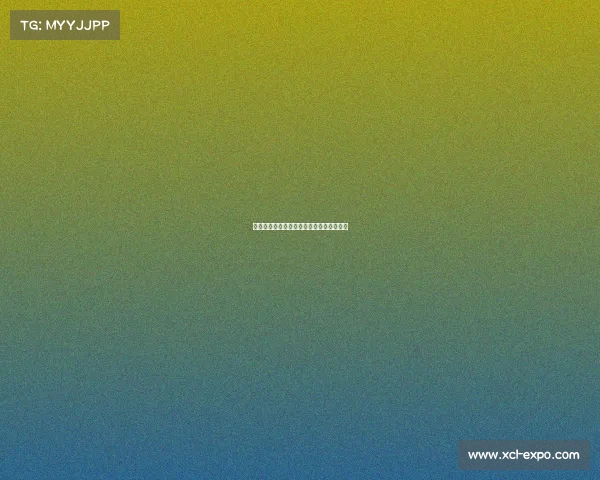 足球球员转会手续流程详解与注意事项解析