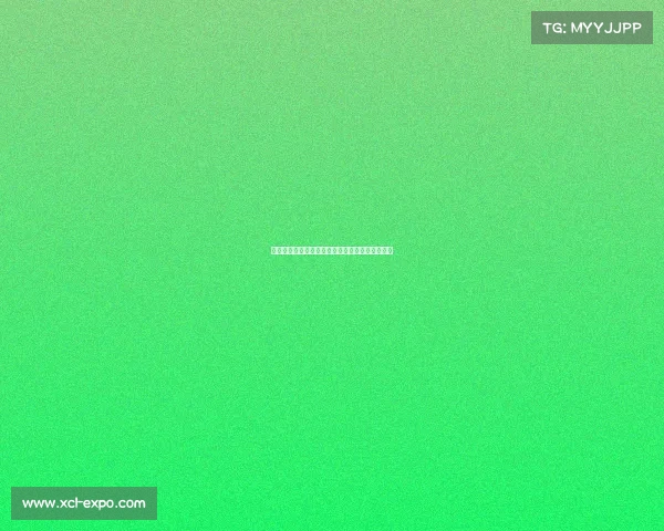 足球球员续约合同签订全过程详解及关键步骤分析