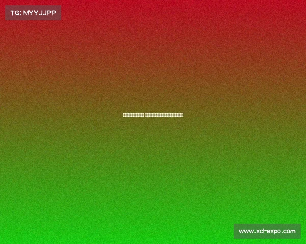 欧冠新规正式实施 强化球队竞争力与市场吸引力分析