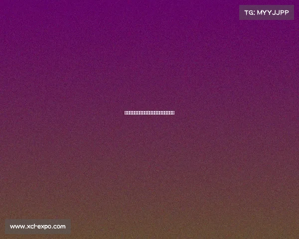 欧洲冠军联赛历史辉煌与激烈竞争的背后解析