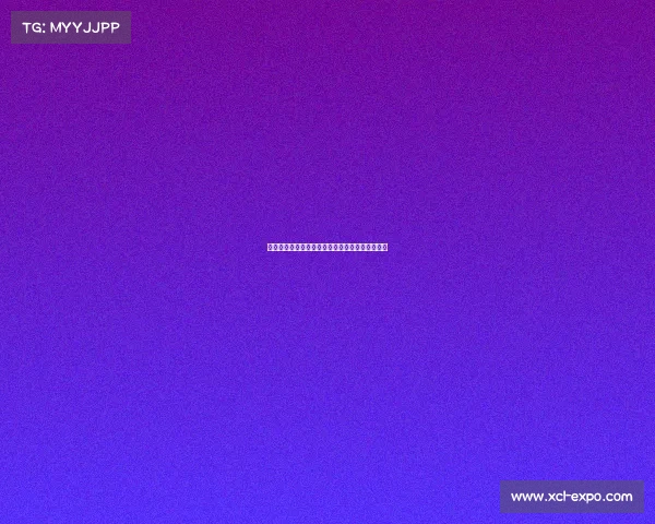 足球俱乐部转会资金投入计划制定与策略优化分析