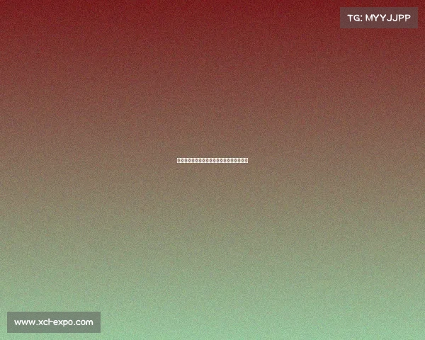 欧洲冠军联赛历史辉煌与激烈竞争的背后解析