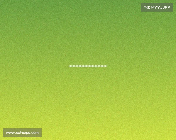 阿里亚斯世俱杯创机会与精准传中数双料领先展现超凡实力